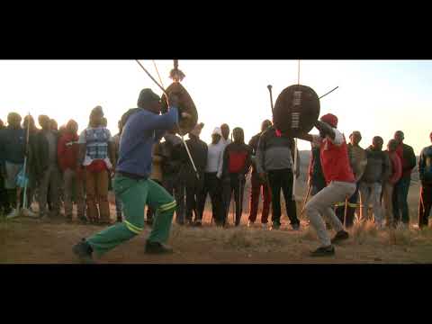 BHEJANE ( RHINO ) VS NTIBANE ( WARTHOG ) - EMGODI