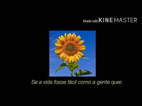 Girassol (Priscilla Alcantara e Whindersson)