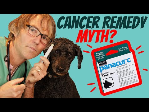 Panacur for Dog and Cat Cancer
