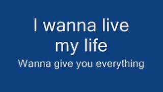 Skillet - Rebirthing Lyrics