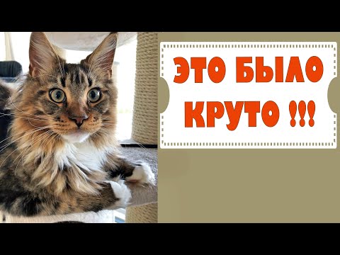 forex roboto platforma yext akcijų pasirinkimo sandoriai