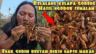 Download lagu BELALANG KALAPA GORENG HASIL NGOBOR SEMALAM mp3 Download lagu BELALANG KALAPA GORENG HASIL NGOBOR SEMALAM mp3