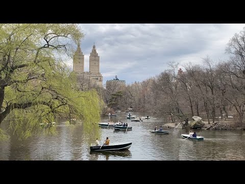 Bethesda Terrace and Fountain