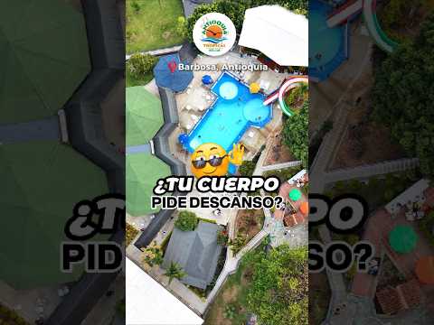 🌴 ¡EL FIN DE SEMANA PERFECTO PARA TODA LA FAMILIA (INCLUYENDO AL PELUDO)! 🐾✨