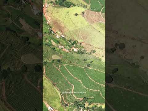 ALVORADA DE CARANGOLA