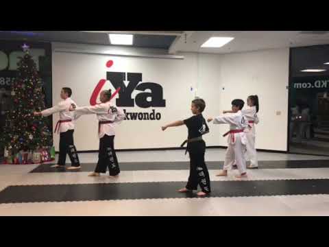 Taeguek 1 - Yellow Belt - Instructional View