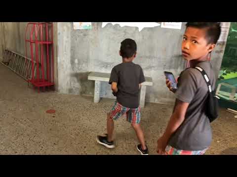 Nordsø Akvariet Vorupør Denmark