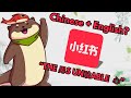 What If English Used Chinese Characters