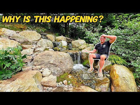 HOW TO stop your water feature from leaking