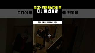 썸네일 이미지
