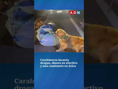 Carabineros incautan drogas y detienen a tres sujetos en ruta 11-Ch