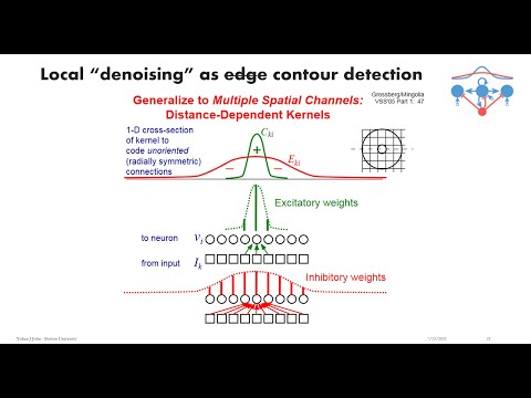 Grossbergian Neuroscience 02: The Noise-Saturation Dilemma, Gain Control, & Off-Surround Inhibition