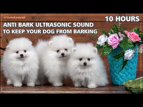 10 Hours Ultrasonic Sound To Stop Your Dog From Barking | Anti Bark Control