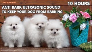 10 Hours Ultrasonic Sound To Stop Your Dog From Barking | Anti Bark Control