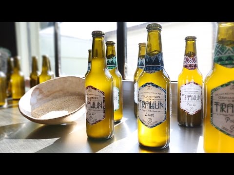 USM - Cerveza Trawun (Proyecto PRAE Corfo Biobío)