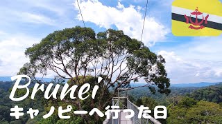 キャノピータワーとロングボート体験　Experience Canopy Walk & Longboat in Temburong
