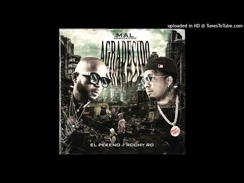 El Pekeño, Rochy RD - Mal Agradecido