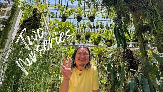 The Rare Plant SPECIES Specialist (Chef’s Kiss)