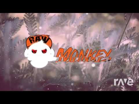 House Psyko - Ketanoise & Broken Brains & R3T3P [Crossbreed Hardcore Mashup] | DruckVerteiler