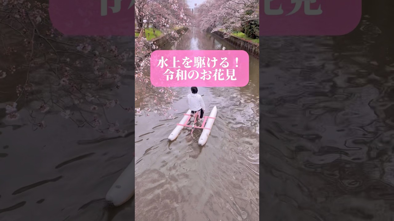 水上を駆けるお花見！ここが最強のお花見の穴場！BEB5土浦by星野リゾート　#shorts #お花見スポット #土浦 #桜 #サイクリング #旅行 #japantravel