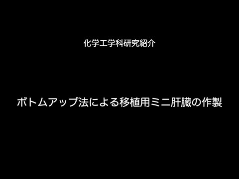 九州大学工学部オープンキャンパス2020（化学工学科　Lab6　ミクロ肝臓の作製）