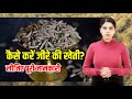 जीरे की खेती बनेगी मुनाफे का सौदा jeera ki kheti cumin farming jeere ki kheti kaise kare