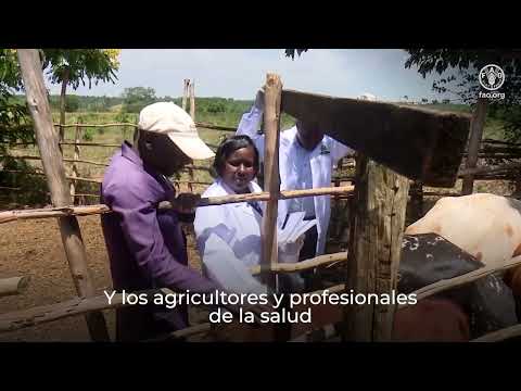 Control de garrapatas y resistencia a los acaricidas