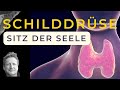 Schilddrüse - Sitz der Seele