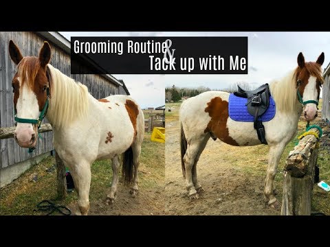 , title : 'Groom + Tack up with Me | Go Pro Edition'