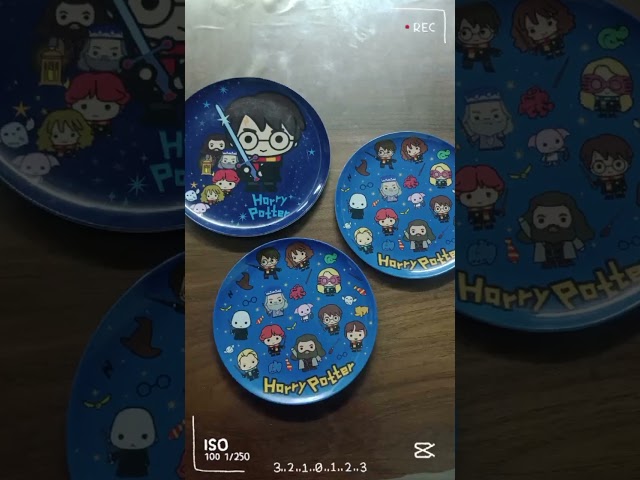 Vídeo relacionado con Unique 23565 - Platos de papel, 23 cm, 8 unidades, diseño de Harry Potter, multicolor