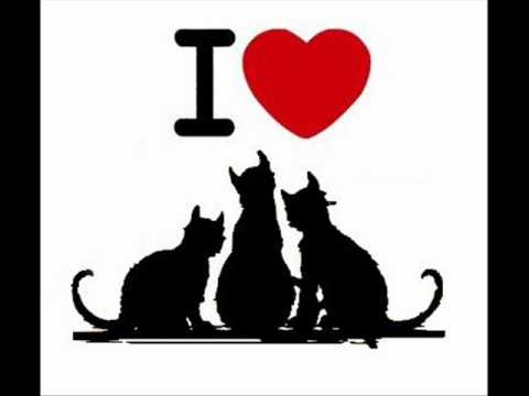 ROBI PERSO & URTOGANG FEAT COOL CADDISH - NELLA MISCHIA