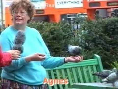 Real English 37 "doing" classic