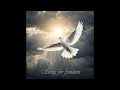 Song For Freedom Live In Colors