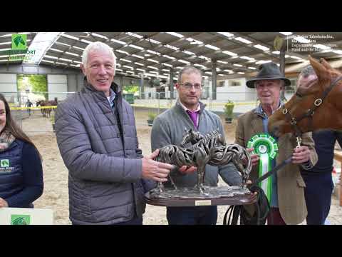 2023 HSI Foal Championship Final Highlights reel