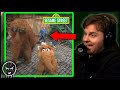 Tim Dillon Was A Child Star On Sesame Street Are The Puppets Racist