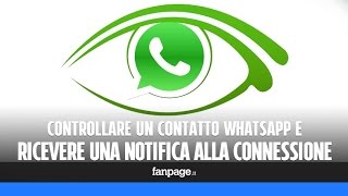 WhatsApp: controllare un contatto e ricevere una notifica quando si connette
