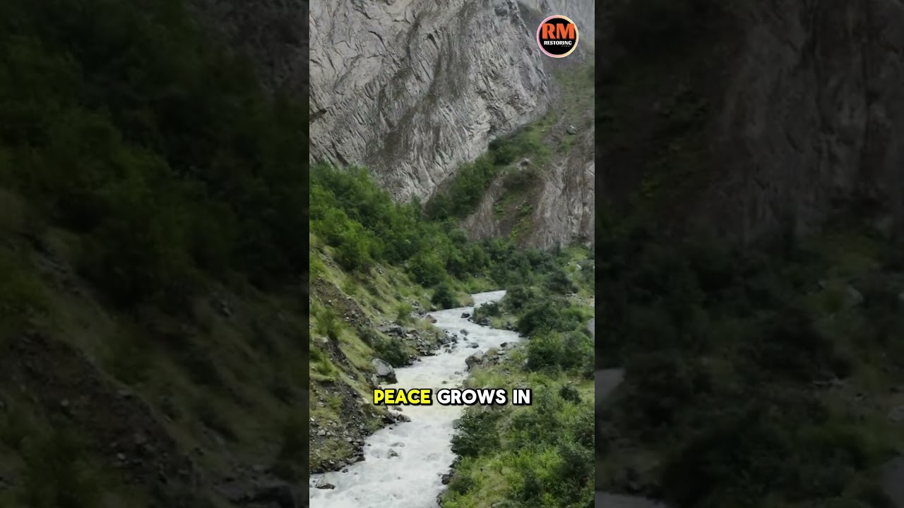 The tree doesn’t rush its growth, nor does the moon hurry its rise #shorts #quotes #motivation