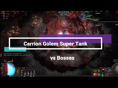POE 3.17 CARRION GOLEM NECROMANCER SUPER TANKY vs SIRUS