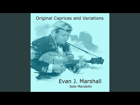 Joyful Variations on a Theme of Beethoven