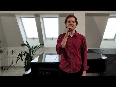 Když jsem já byl tenkrát kluk / Karel Gott - cover