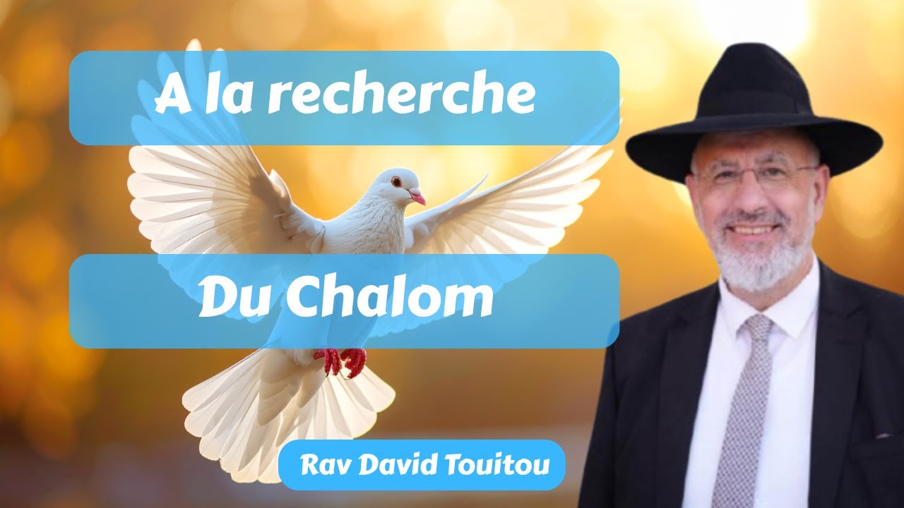 A la recherche du Chalom
