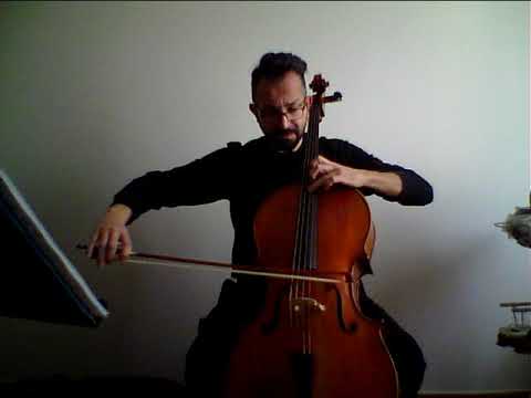 Il violoncello - Presentazione del M° Nazzareno Balduin