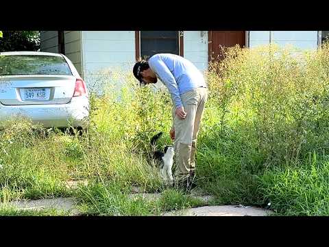 All the LOCAL CATS called this place home...