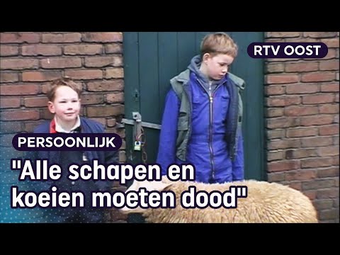 Foot and mouth crisis: Hassink farming family kept emotional video diary in 2001 | RTV Oost