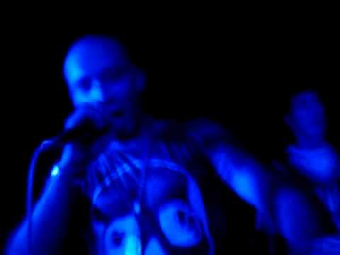 Mr bip and stephkill