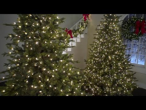 download lagu mp3 mp4 Cluster Tree Lights, download lagu Cluster Tree Lights gratis, unduh video klip Cluster Tree Lights