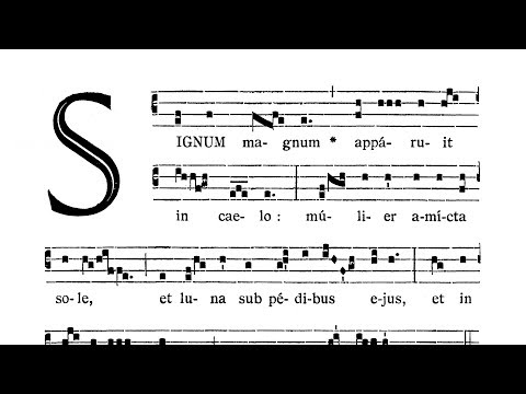 Assumption of the Blessed Virgin Mary - Introitus (Signum magnum)