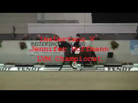 Gestüt Letter Berg Hengst Instertanz V.  LVM-Youngster-Championat 2012