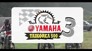 preview picture of video 'Yamaha Taikorea 500 - 3'