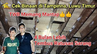 Download lagu Viral..‼️ 4 month old rbw penetrates Hundreds of nests, real proof, not promises - check the Mali... mp3